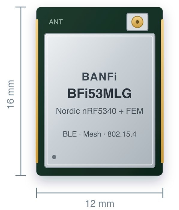 BANFi BFi53MLG module, 12 by 16 mm M.2 LGA, Nordic Semiconductor nRF5340 with front-end module